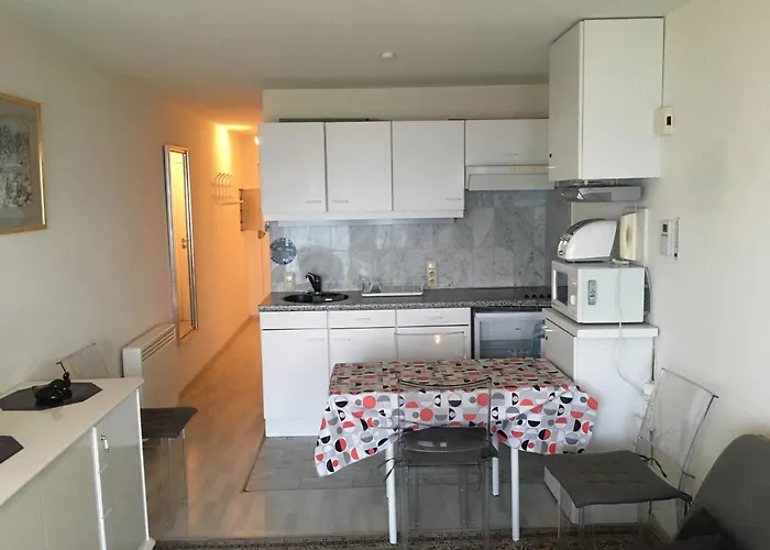 Prachtige Met Frontaal Zeezicht En Terras 4 Pers. Oostende