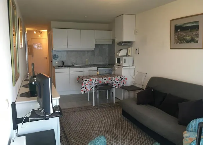 Prachtige Met Frontaal Zeezicht En Terras 4 Pers.